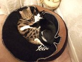 Miri and Cali